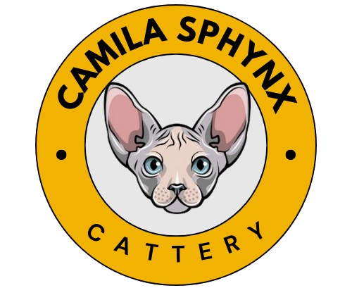Camila Sphynx Cattery